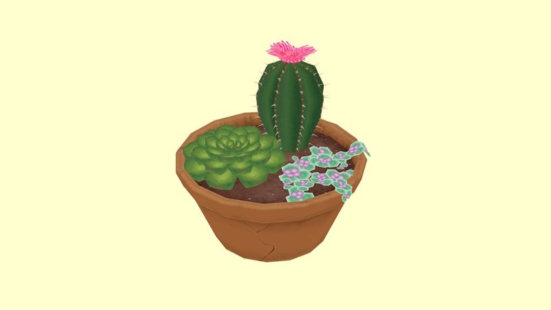 Assorted Succulent Pot